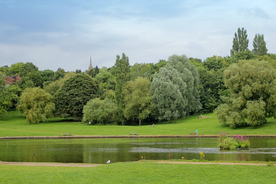 A scenic park landscape featuring a calm body of water in the foreground with gentle ripples and a small patch of pink and yellow flowering plants at its edge. Behind the water, a well-maintained grassy area extends across the image, with a few benches and people dressed casually enjoying the outdoor space. The middle ground is densely populated with a variety of mature trees, including deciduous and evergreen species, displaying different shades of green and varying textures in their leaves and foliage. In the background, a church spire peeks through the treetops, set against a partly cloudy sky with patches of blue and soft sunlight illuminating the scene. The environment suggests an urban park or garden, where the natural elements create a peaceful atmosphere, and waste clearance companies like Waste Clearance Hampstead may undertake on-site clearance or private waste collection services in such green areas.