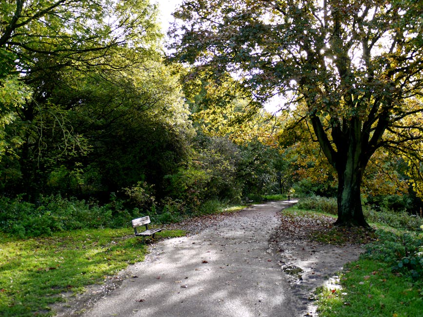 A winding dirt path in a park or natural setting is surrounded by dense green foliage and mature trees, with sunlight filtering through the leaves creating dappled shadows on the ground. To the left of the path, there is an empty wooden bench with a weathered, light-colored surface, positioned on a small grassy area. On the right, a large tree with a thick, dark trunk and sprawling branches extends overhead, casting shade along the trail. The trail appears uneven with some patches of grass and small stones visible, and the environment suggests a peaceful outdoor space suitable for walkways or informal outdoor recreation. The scene is captured in natural daylight, with a calm and quiet atmosphere, consistent with a location where waste clearance services might be relevant for maintaining clean and accessible outdoor amenities, although no rubbish or waste materials are visible in the image.