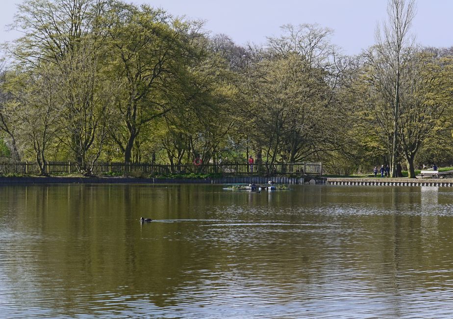 https://wasteclearancehampstead.co.uk/blog/what-to-know-about-booking-rubbish-removal-in-hampstead/